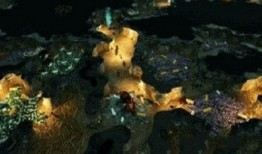 地下蚁国最新的版本爆料,揭秘最新版本中的神秘蚁国世界